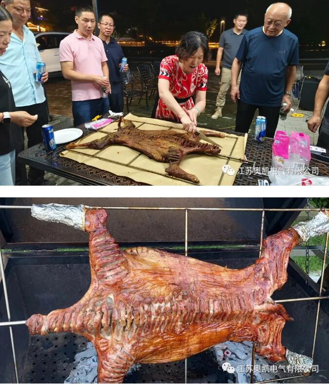 宝运莱电气